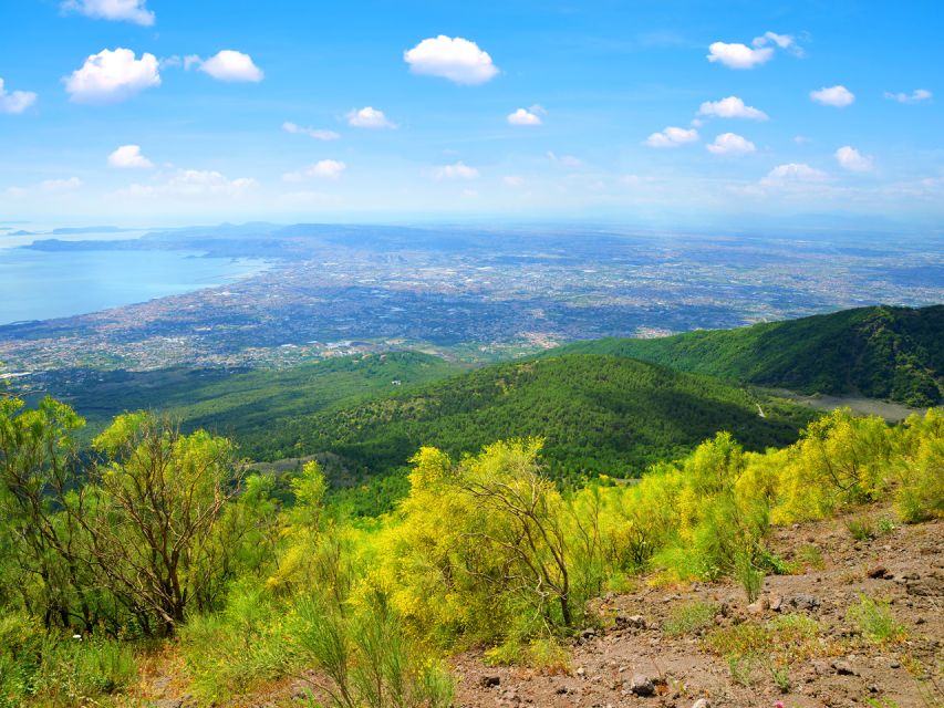 From Pompeii: Bus Transfer to Vesuvius with Park Entry Fee - Pompeii To Vesuvius, Without the Logistics Headache