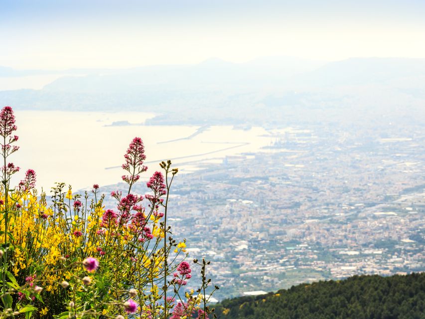 From Pompeii: Bus Transfer to Vesuvius with Park Entry Fee - Meeting at Via Roma, 32 And the Real Meaning of a 3 Hour Tour