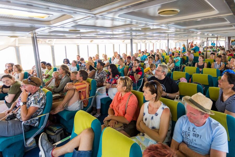 From Porec: Venice Catamaran Crossing One-Way or Round-Trip - Price and Value: What You’re Paying For at About $94