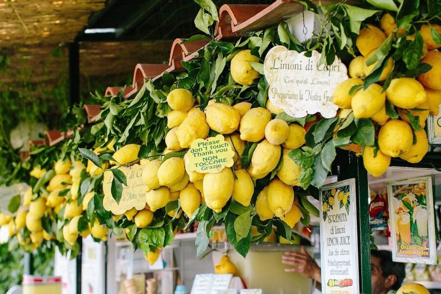 From Positano: Sorrento Coast & Capri Full-Day Trip by Boat - Your free time on Capri: how to spend 3 to 5 hours well