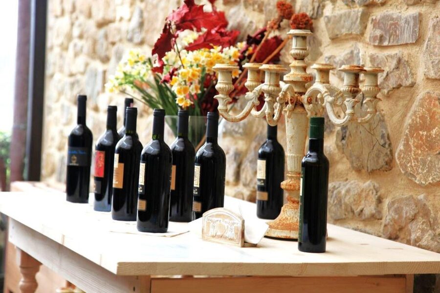 From Rome: Bagnoregio & Orvieto Day Trip with Wines & Lunch - Should you book the Rome to Bagnoregio and Orvieto wine day trip?