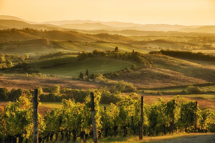 From Rome: Discover Florence and Pisa in a Full-Day Tour - Florence Arrival and the Professional 2-Hour Walking Tour