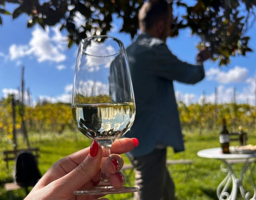 From Rome: Half-Day Frascati Wine Tour with Farmhouse Lunch - The Tasting That Matters: Three Wines, Plus EVO Oil