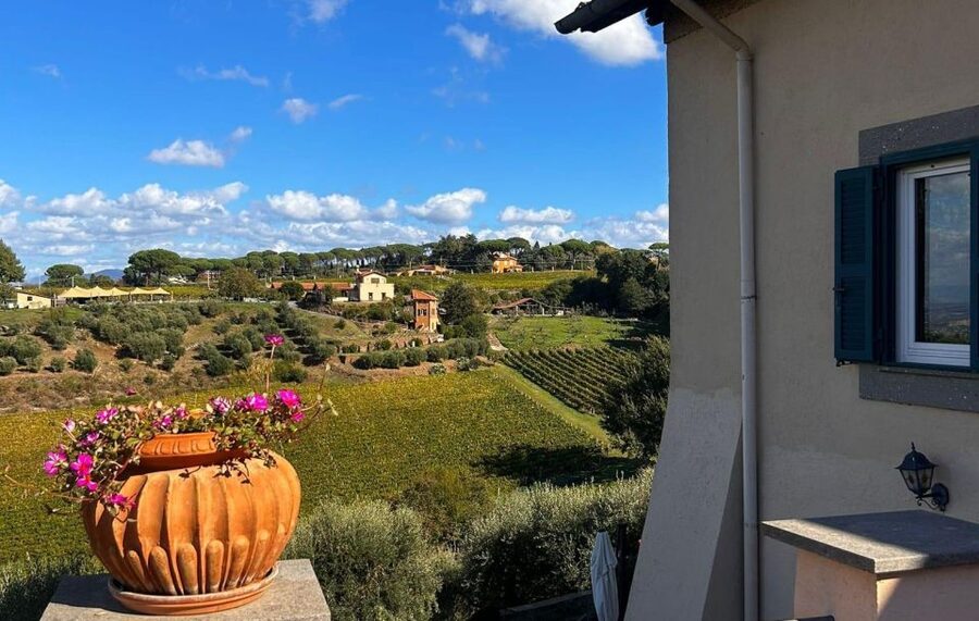 From Rome: Half-Day Frascati Wine Tour with Farmhouse Lunch - Lunch in the Vineyard Setting: Local Food, Chef Cooking, and Live Music