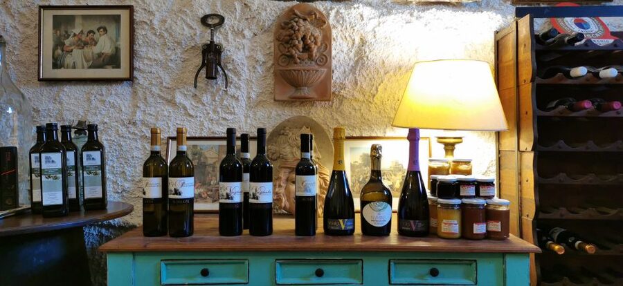 From Rome: Half-Day Frascati Wine Tour with Farmhouse Lunch - Who Should Book This Frascati Tour, and Who Should Skip It