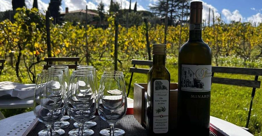 From Rome: Half-Day Frascati Wine Tour with Farmhouse Lunch - Getting There Smart: The Train Ride and the Exact Meeting Spot