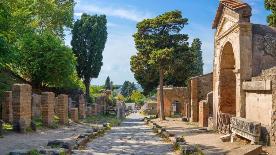 From Rome: Pompeii and Naples Day Trip by High-Speed Train - Naples City Center in 1 Hour Plus Free Time: Plebiscito, Views, and the Sea