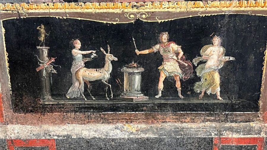 From Rome: Pompeii and Naples Day Trip by High-Speed Train - Who Should Book This Pompeii and Naples High-Speed Train Tour