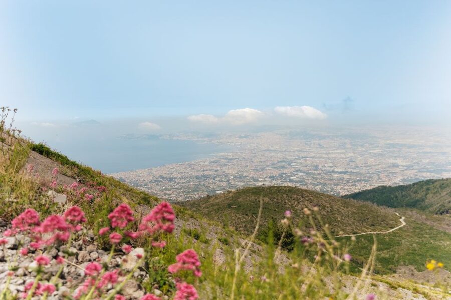 From Rome: Pompeii Day Trip with Optional Vesuvius and Lunch - What to Bring and Quick Rules That Affect Your Comfort