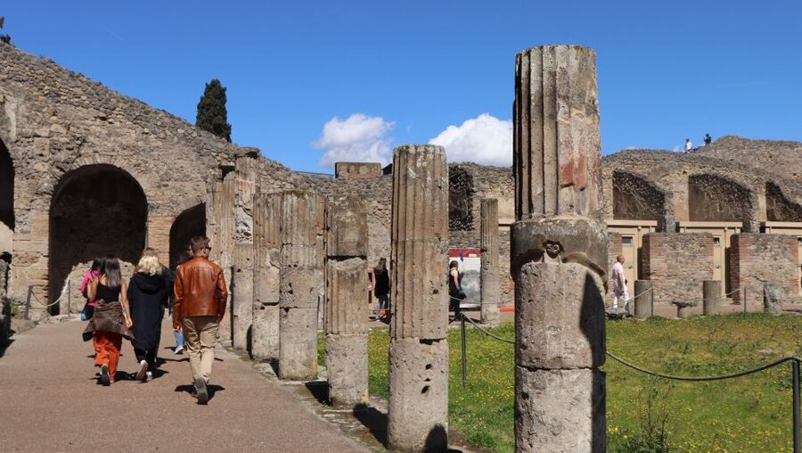 From Rome: Pompeii, Positano and Amalfi Coast Day Trip - Vehicle comfort, group size, and the reality of a long road day
