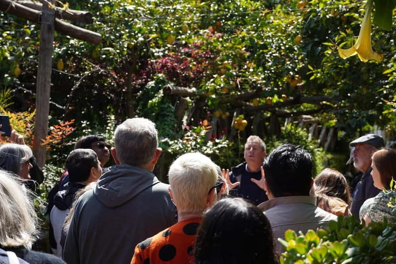 From Rome: Sorrento & Pompeii Day Trip with Guide or Ticket - Key highlights at a glance