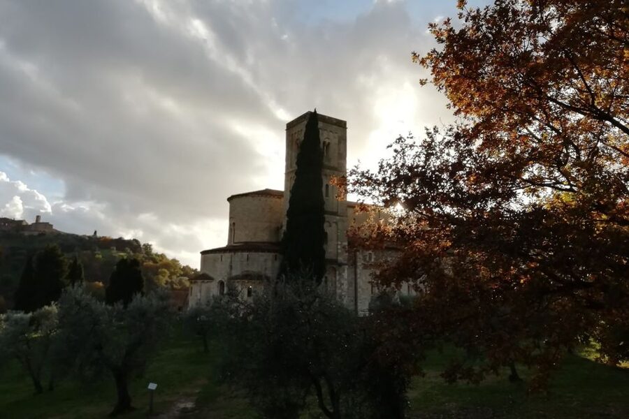 From Siena: Brunello di Montalcino Guided Wine Tour W/ Lunch - Key highlights worth getting excited about
