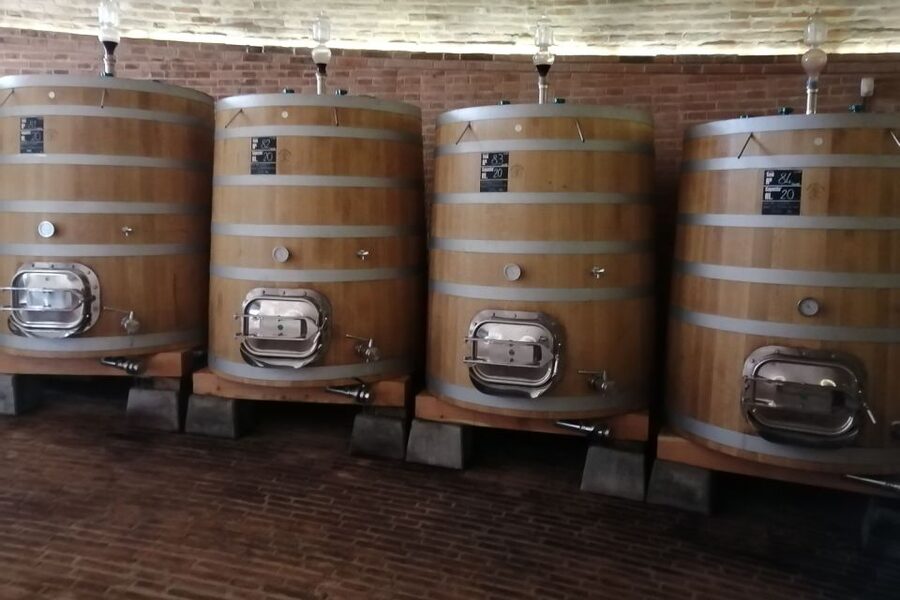 From Siena: Brunello di Montalcino Guided Wine Tour W/ Lunch - Should you book this Brunello di Montalcino tour?