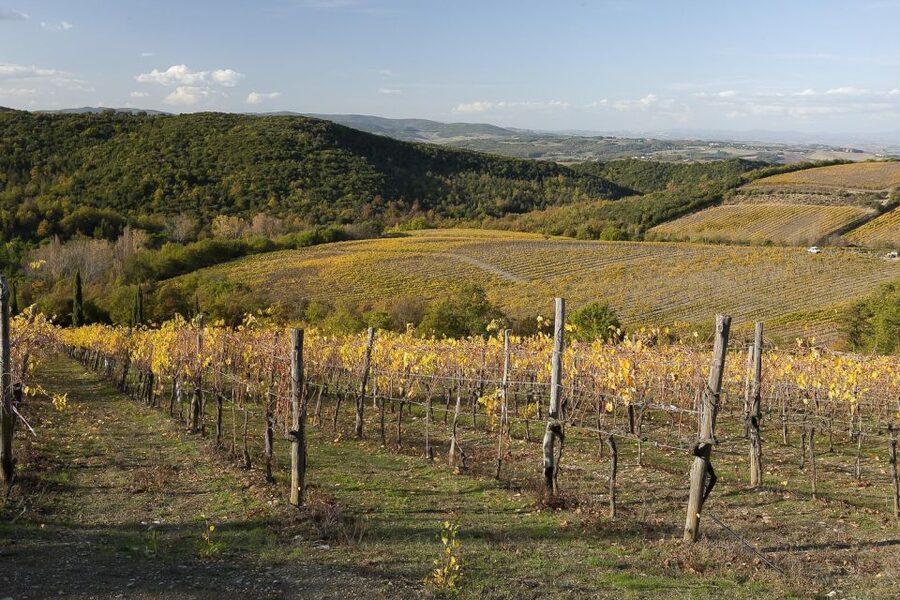 From Siena: Brunello di Montalcino Guided Wine Tour W/ Lunch - Sant’Antimo Abbey, a quiet break between tastings