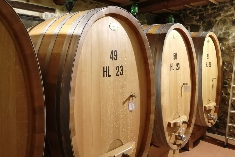 From Siena: Brunello di Montalcino Guided Wine Tour W/ Lunch - Second and third wineries: producers, process, and different tasting styles