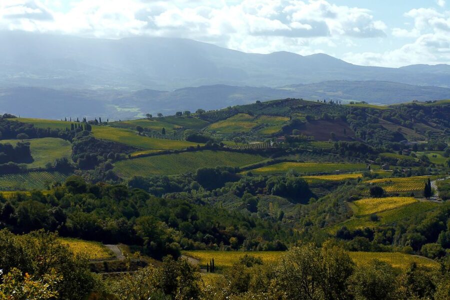 From Siena: Brunello di Montalcino Guided Wine Tour W/ Lunch - Who this Brunello day trip fits best