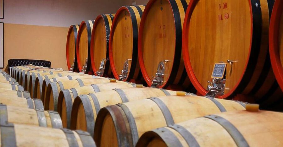 From Siena: Brunello di Montalcino Guided Wine Tour W/ Lunch - Vineyard walk and cellar tours, where Brunello really starts