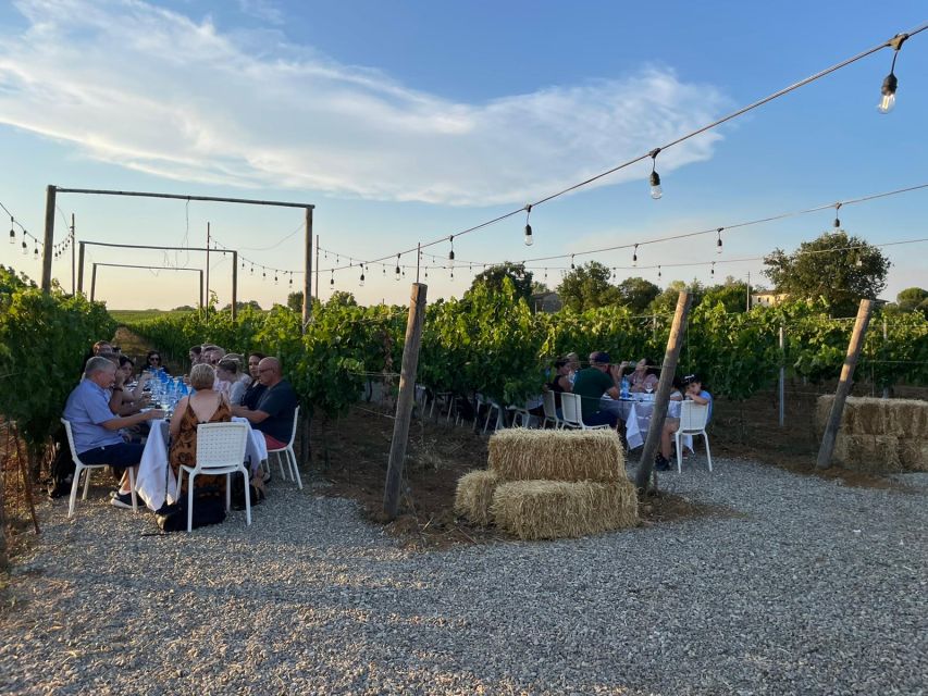 From Siena: Chianti and Castles Tour with Wine Tastings - Key Things I’d Bet You’ll Notice