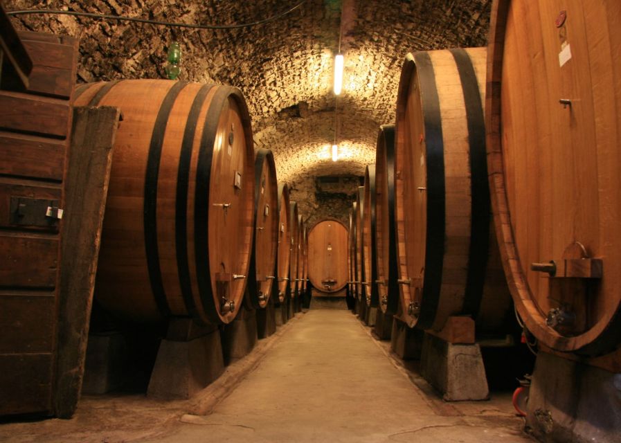 From Siena: Chianti and Castles Tour with Wine Tastings - Monteriggioni: Fortified Views That Read Like a Postcard