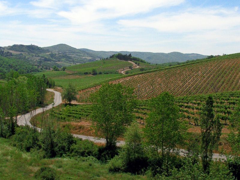 From Siena: Chianti and Castles Tour with Wine Tastings - Two Wineries, Two Different Flavors of the Region