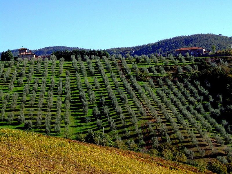From Siena: Chianti and Castles Tour with Wine Tastings - The Town Stops Are Short, So Move With Intention