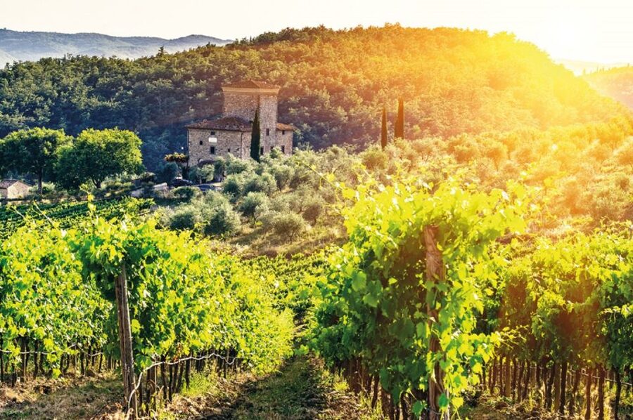 From Siena: Chianti and Castles Tour with Wine Tastings - Price and Value for a 5-Hour Wine Plus Villages Day