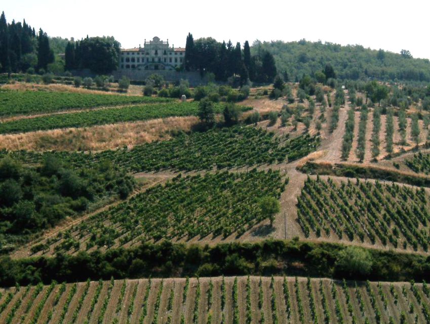 From Siena: Chianti and Castles Tour with Wine Tastings - The 8-Person Minivan Style, Why It Works