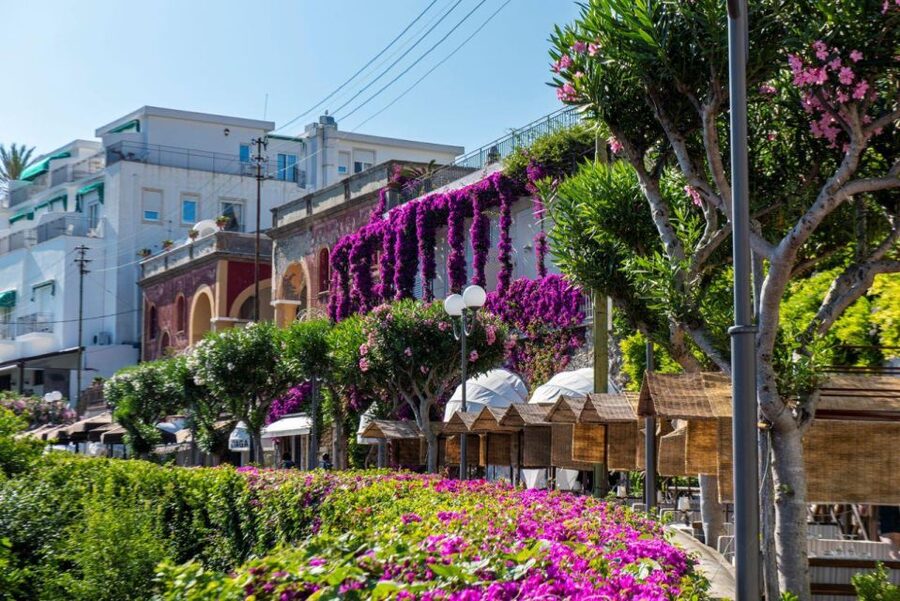 From Sorrento: Capri, Anacapri, & Blue Grotto Full-Day Trip - Should You Book This Sorrento to Capri Tour?