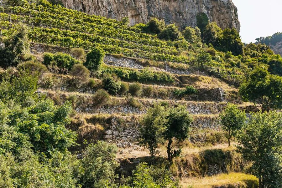 From Sorrento: Path of the Gods Guided Hike with Transfers - The shepherd hut stop: Antonio’s place, wine, snacks, and music