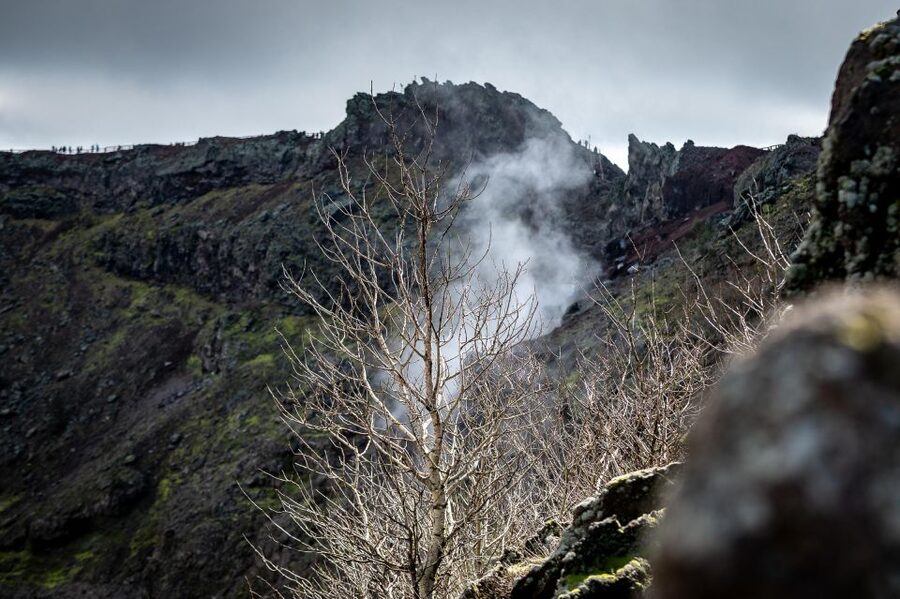 From Sorrento: Pompeii and Vesuvius Guided Tour with Lunch - Who this tour fits best, and who should skip it