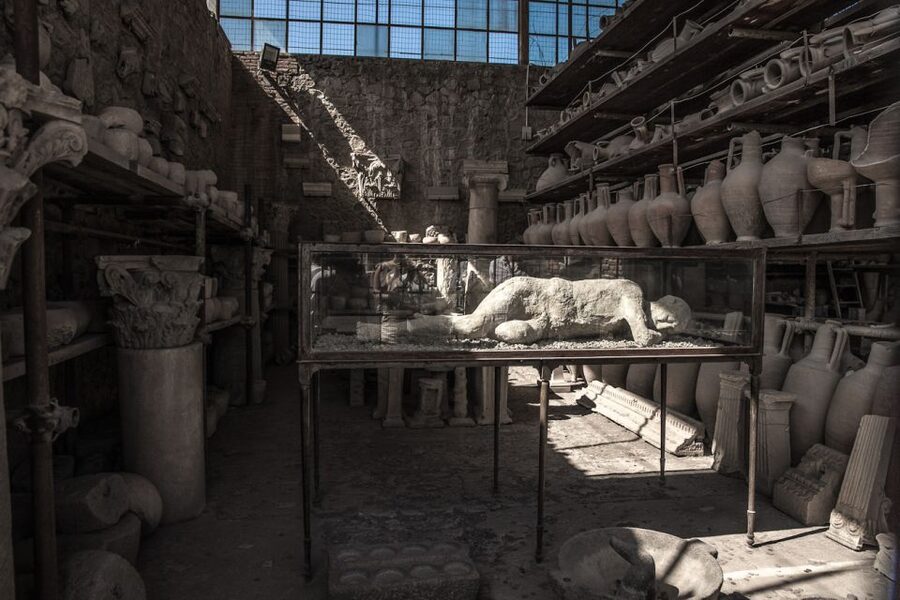 From Sorrento: Pompeii Half-Day Skip-the-Line Tour - Pace, Walking Surfaces, and Who This Tour Fits Best