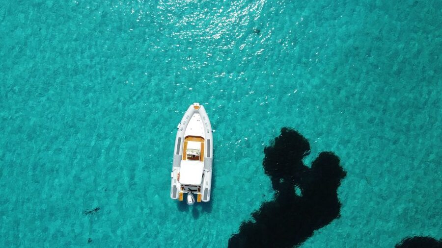 From Stintino: Half-day dinghy tour in Asinara Gulf - Key things to know before you go