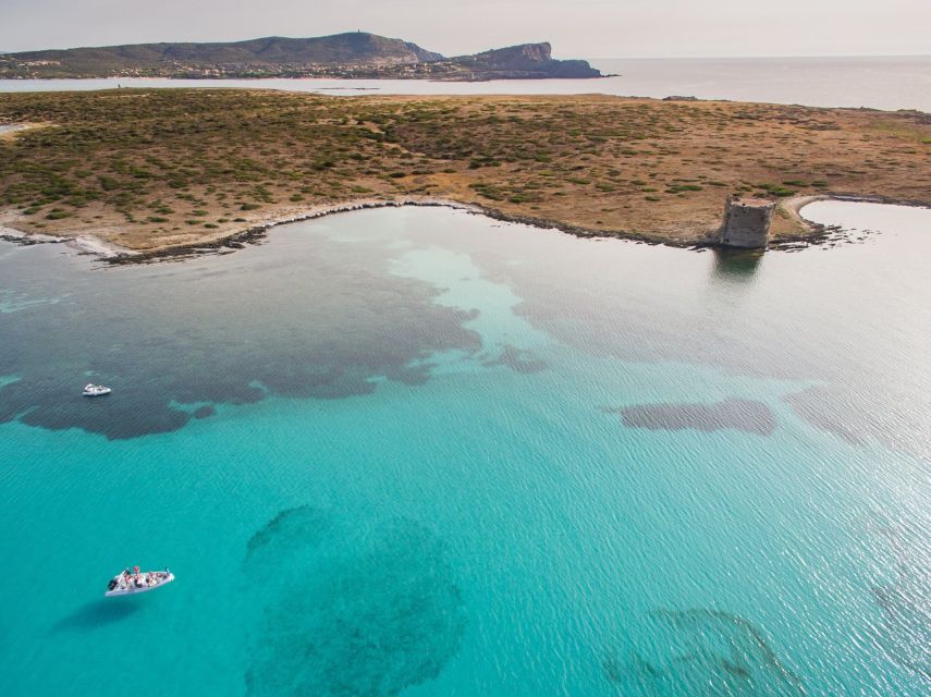 From Stintino: Half-day dinghy tour in Asinara Gulf - Who this tour suits best