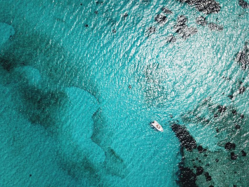 From Stintino: Half-day dinghy tour in Asinara Gulf - La Pelosa and the tower: the iconic shallow-water moment