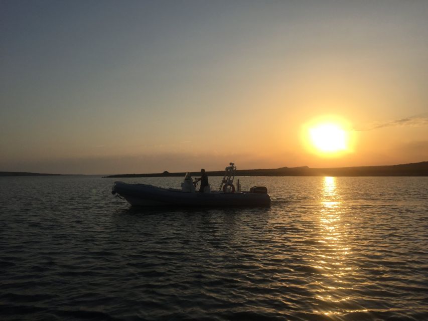 From Stintino: Half-day dinghy tour in Asinara Gulf - Boat comfort and practical swim advice (it’s not a cruise ship)