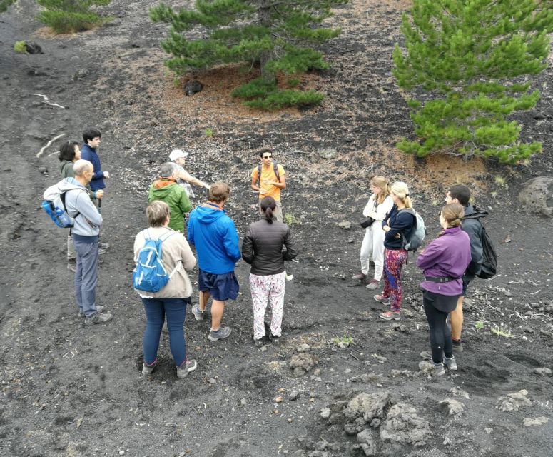 From Taormina: Full-Day Etna, Wine & Alcantara Canyons Tour - Why Etna Craters and Lava Caves Feel Different From Other Volcano Tours