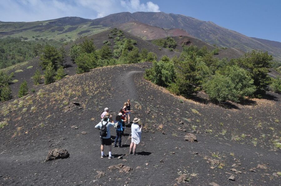 From Taormina: Full-Day Etna, Wine & Alcantara Canyons Tour - Hiking Extinct Craters: What the 2-Hour Walk at 2,000 Meters Really Means