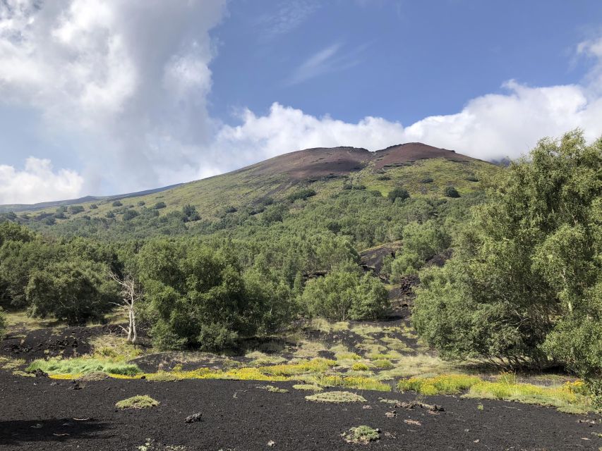 From Taormina: Full-Day Etna, Wine & Alcantara Canyons Tour - Winery Lunch and Etna Wine Tasting: Food That Makes the Day Worth It