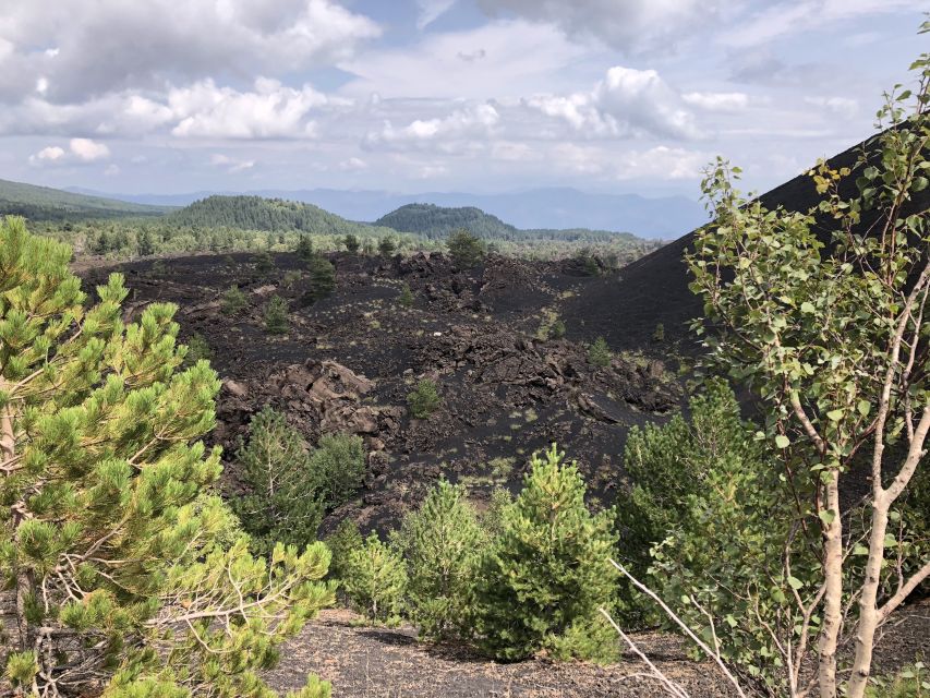 From Taormina: Full-Day Etna, Wine & Alcantara Canyons Tour - Price and Value: Why This $116.68 Price Can Make Sense