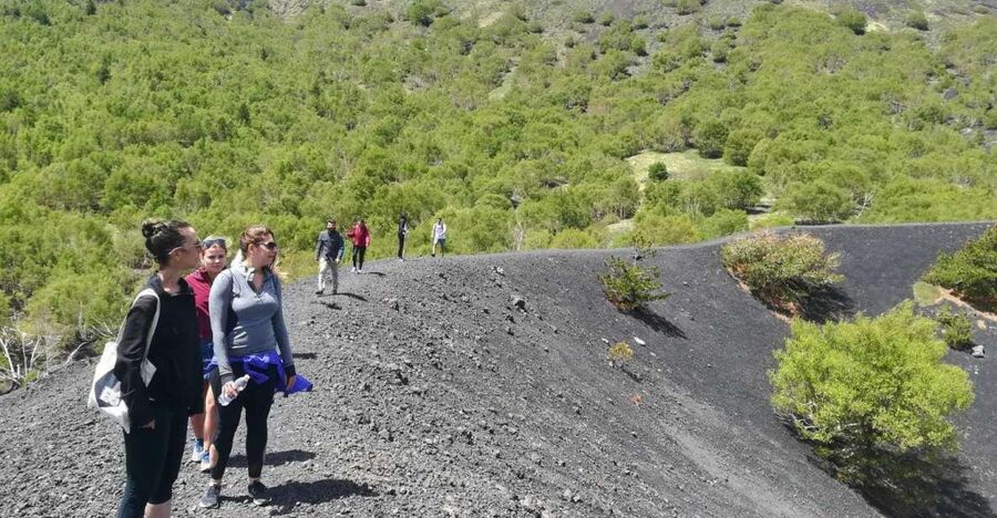 From Taormina: Half-Day Mount Etna Morning Trek - Why This Half-Day Etna Hike Works So Well From Taormina