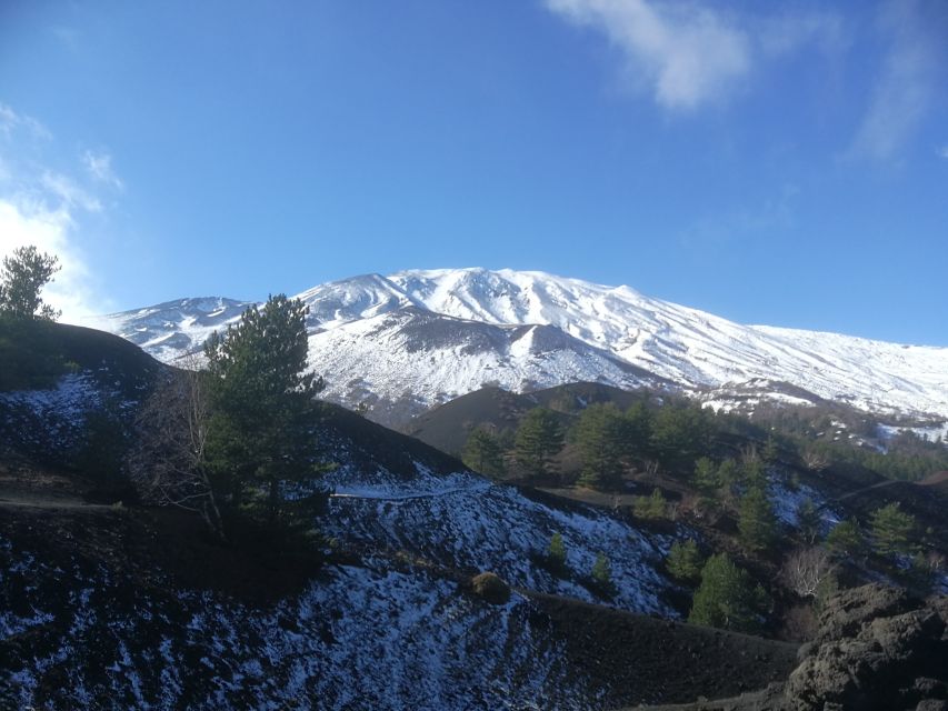 From Taormina: Half-Day Mount Etna Morning Trek - Price and Value: Is $106 Per Person Fair?