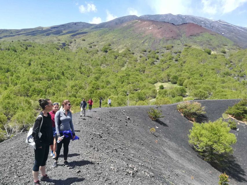 From Taormina: Half-Day Mount Etna Morning Trek - Who Should Book, and Who Should Skip It