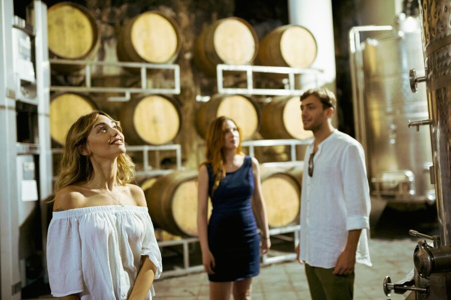 From Taormina: Mount Etna Food and Wine Tasting Tour - Winery Stop: Cellars, Cold Appetizers, and Five Glasses