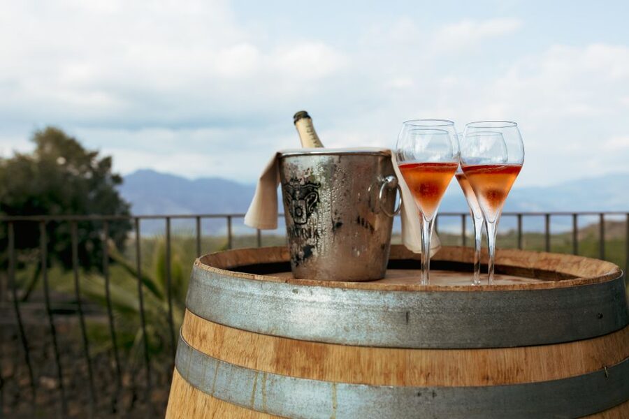From Taormina: Mount Etna Food and Wine Tasting Tour - Who Should Book This Etna Day Trip (and Who Might Skip It)