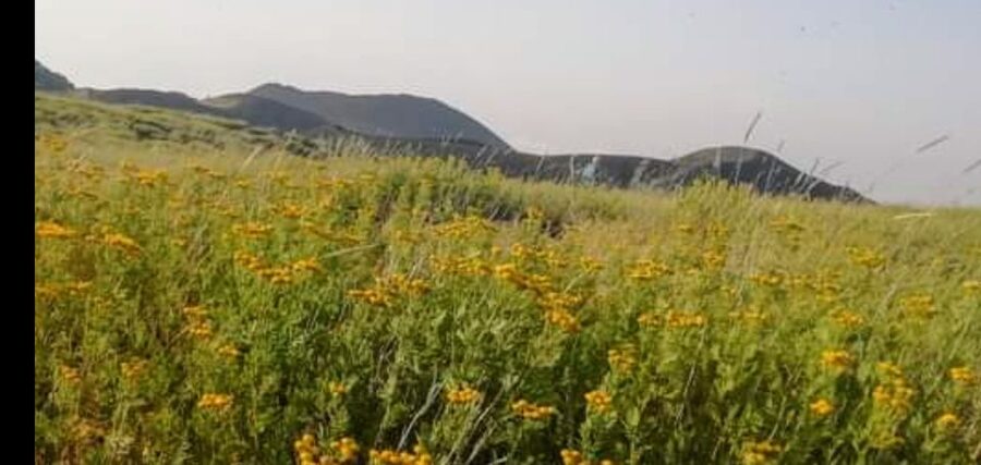 From Taormina, Naxos, & Letojanni: Mount Etna Half-Day Trip - Pickup Around Taormina, Naxos, Letojanni, and Mascali (and Why It’s a Big Deal)