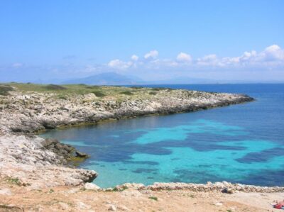 Cruise to Favignana and Levanzo with lunch