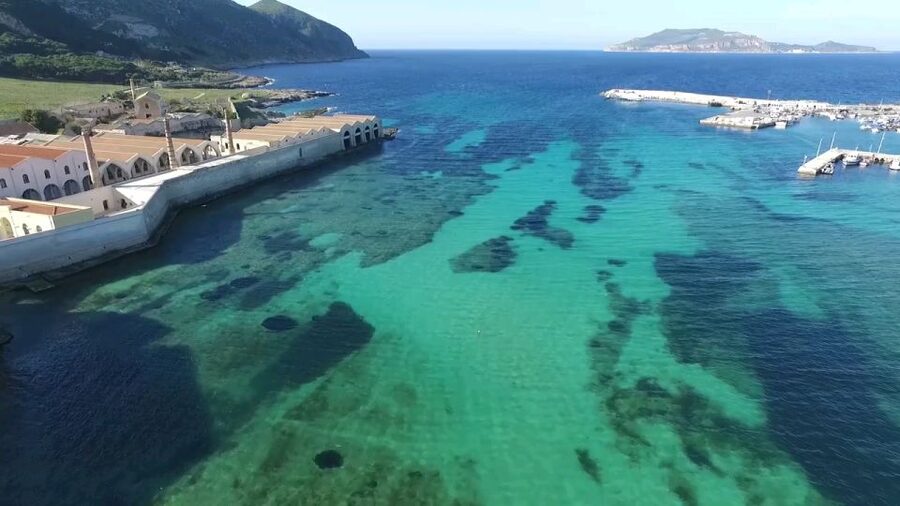 From Trapani: Day Cruise to Favignana & Levanzo with Lunch - Meeting at Trapani Harbour and the 09:30 departure rhythm
