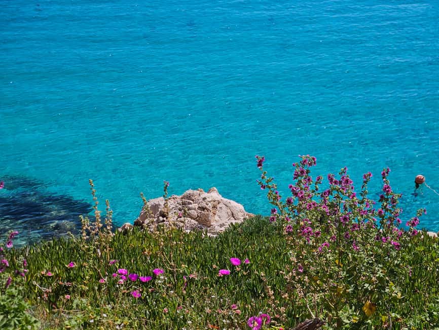 From Trapani: Favignana and Levanzo Shuttle Tour - Key highlights you should know