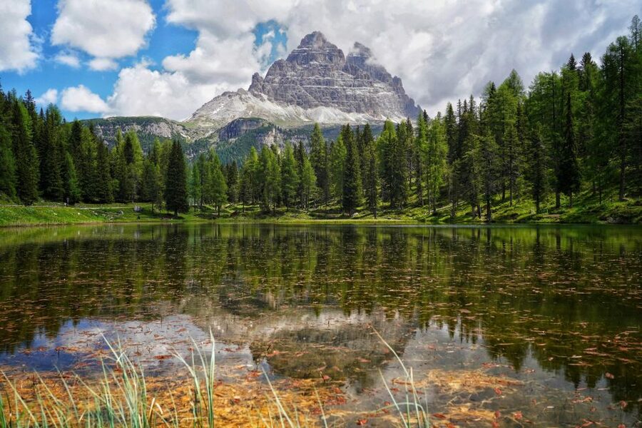 From Venice: Dolomites Day Trip - The Drive to Pieve di Cadore: First Views and a Gentle Historic Stop