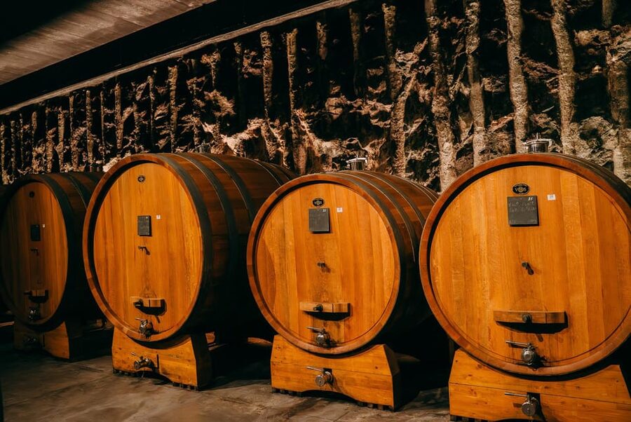 From Verona: Valpolicella and Amarone Wine Tasting Tour - Key takeaways before you go